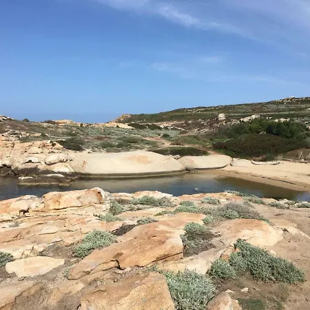 Le Maquis * Corbara